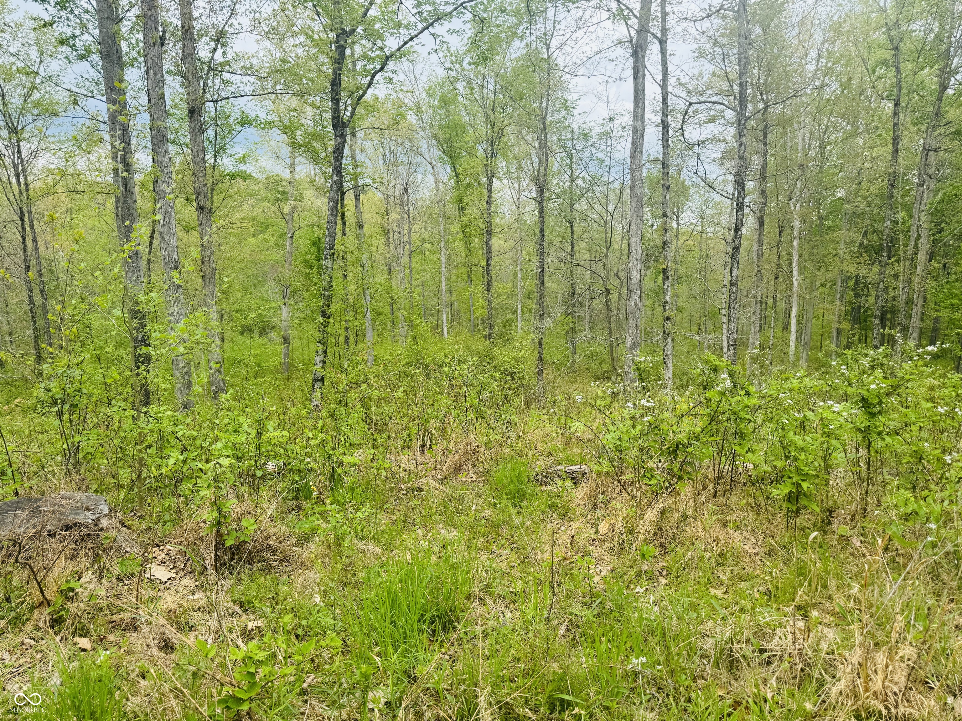 Lot 3-eagle View Mt Healthy Road Columbus, IN 47201 - Photo 6 of 15