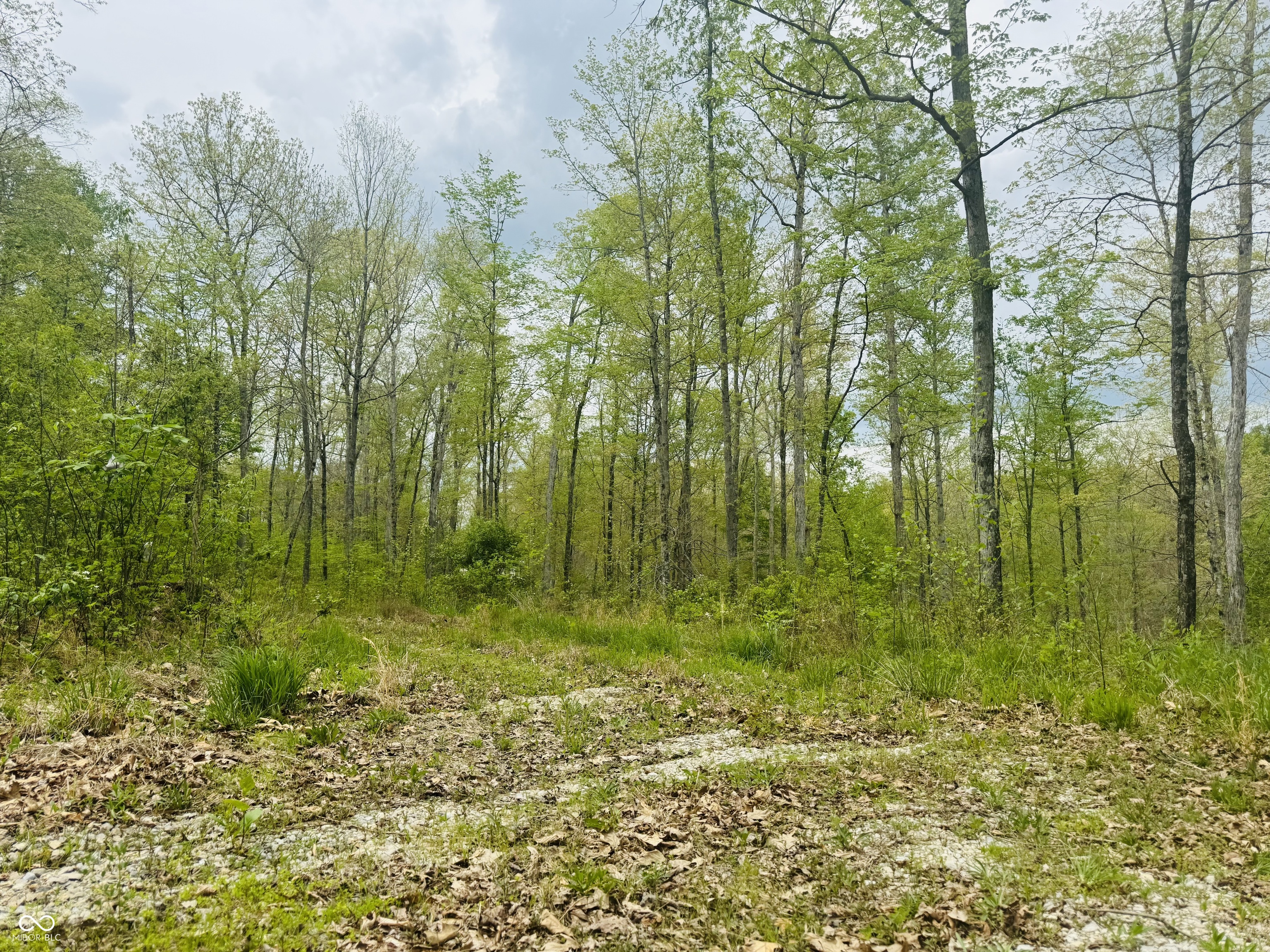 Lot 3-eagle View Mt Healthy Road Columbus, IN 47201 - Photo 7 of 15
