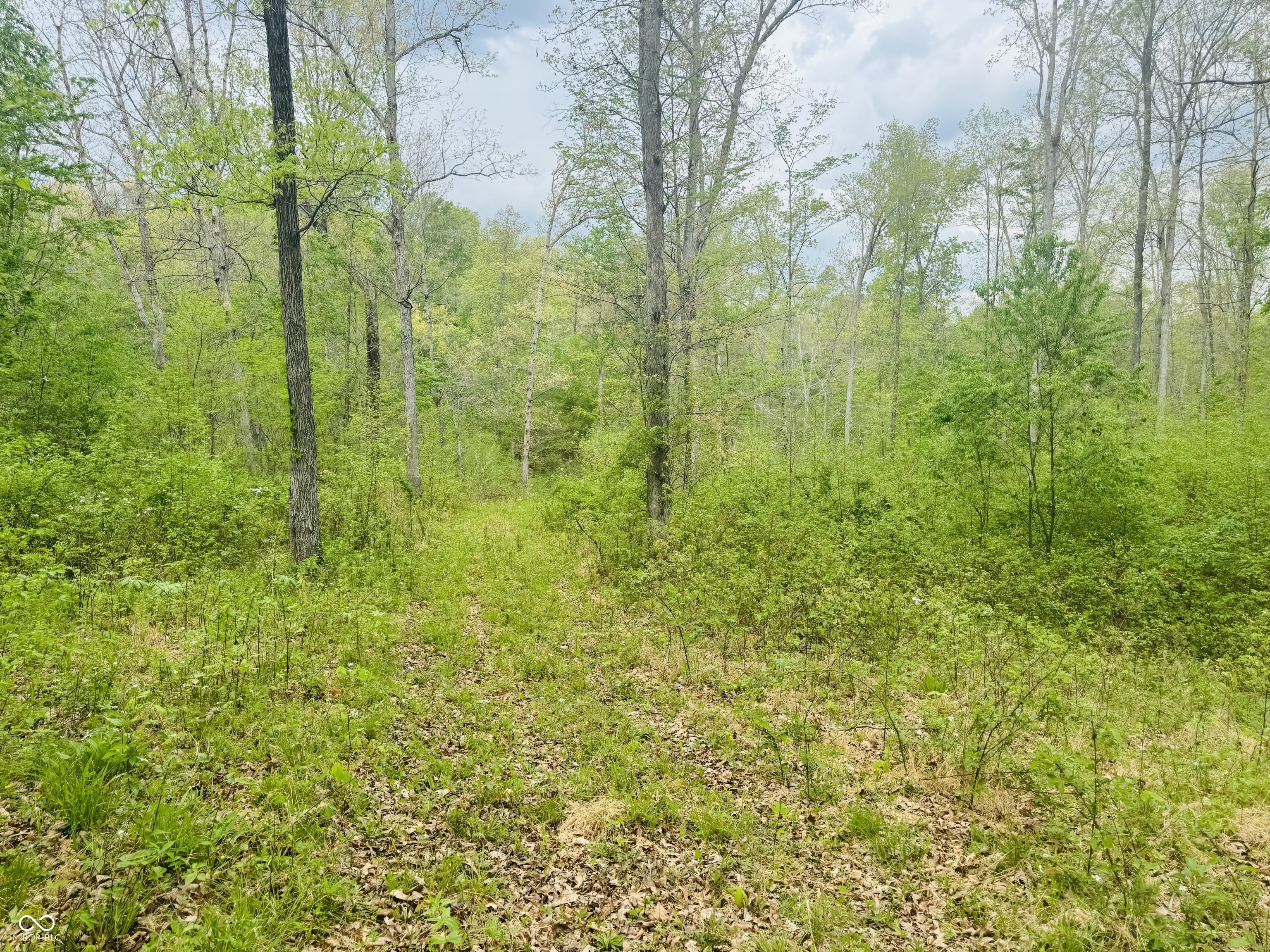 Lot 3-eagle View Mt Healthy Road Columbus, IN 47201 - Photo 8 of 15
