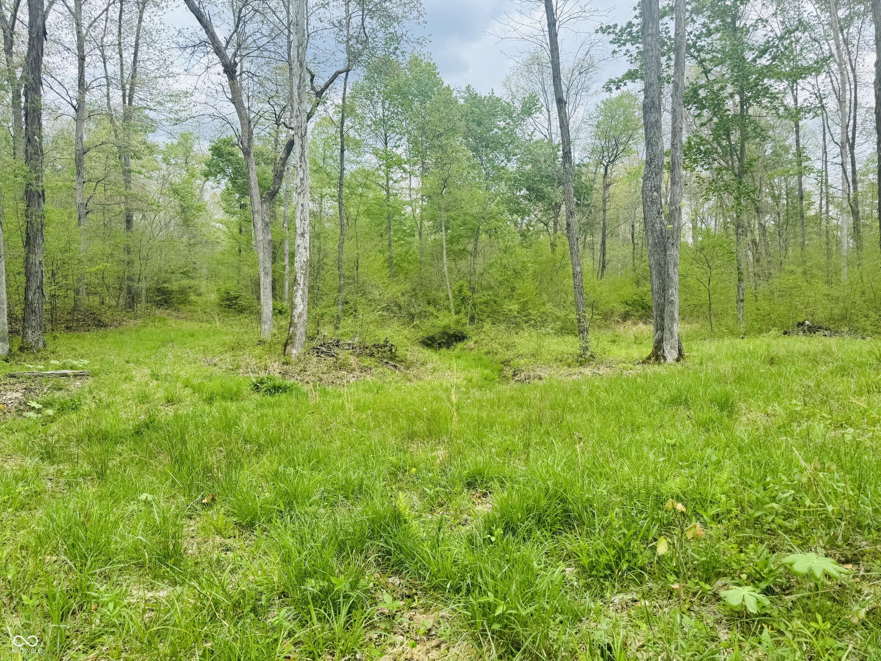 Lot 3-eagle View Mt Healthy Road Columbus, IN 47201 - Photo 10 of 15