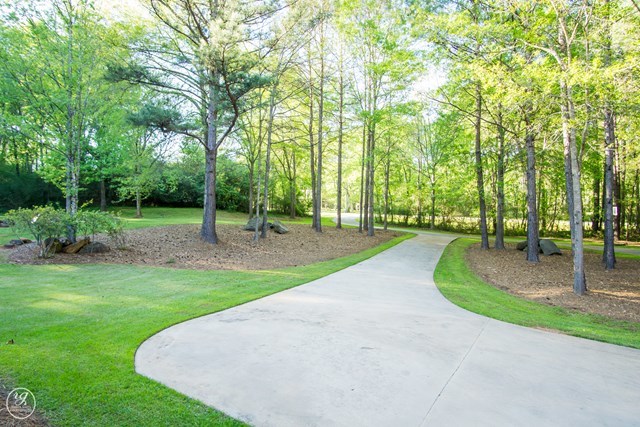 6620 Colaparchee Road Macon, GA 31210 - Photo 40 of 45 a view of a park with trees