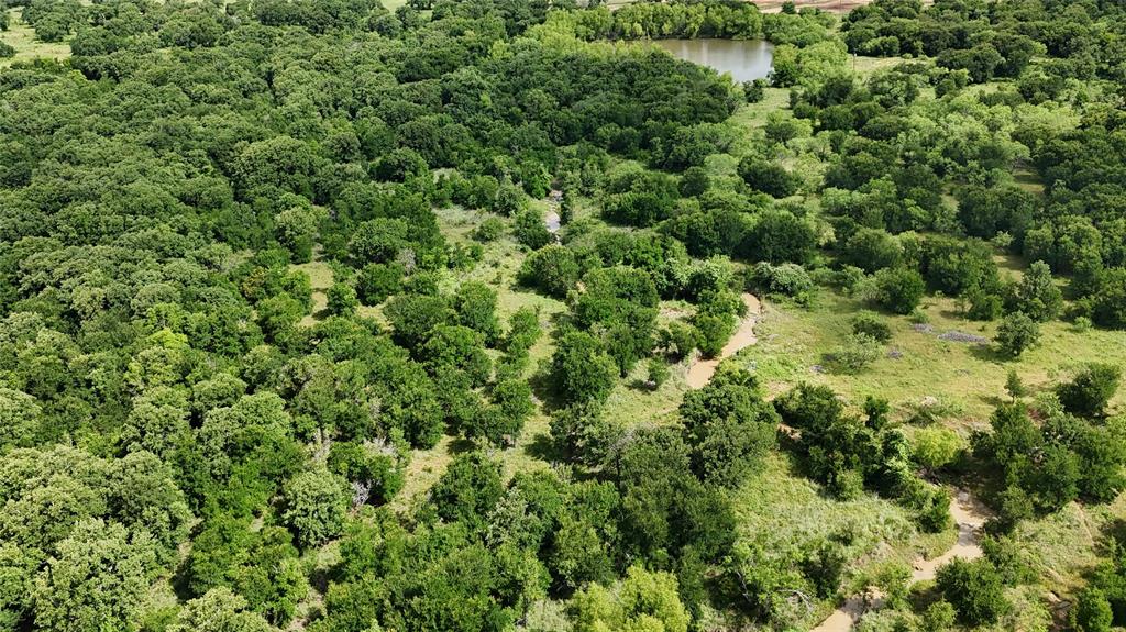 30 Oasis Court Perrin, TX 76486 - Photo 26 of 30