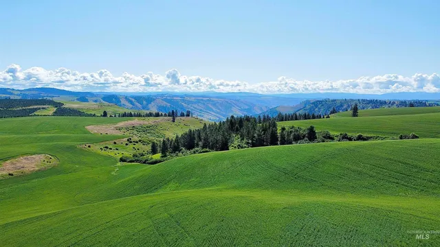 $1,330,000 | Tbd Basket Road, Nezperce, ID 83543