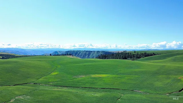 $1,330,000 | Tbd Basket Road, Nezperce, ID 83543