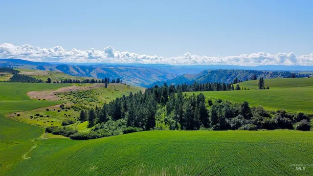 $1,330,000 | Tbd Basket Road, Nezperce, ID 83543