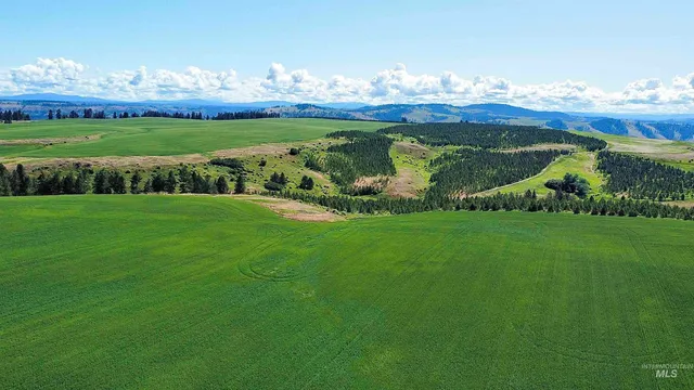 $1,330,000 | Tbd Basket Road, Nezperce, ID 83543
