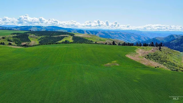 $1,330,000 | Tbd Basket Road, Nezperce, ID 83543