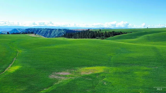 $1,330,000 | Tbd Basket Road, Nezperce, ID 83543