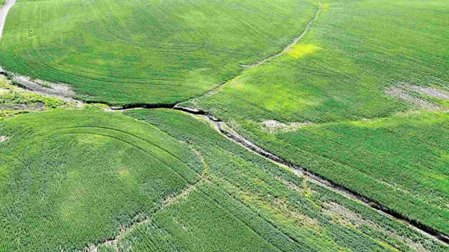 $1,330,000 | Tbd Basket Road, Nezperce, ID 83543