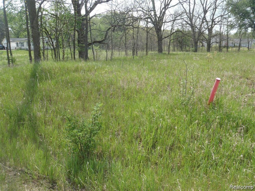 36 Bryde Drive Rives Junction, MI 49277 - Photo 2 of 5