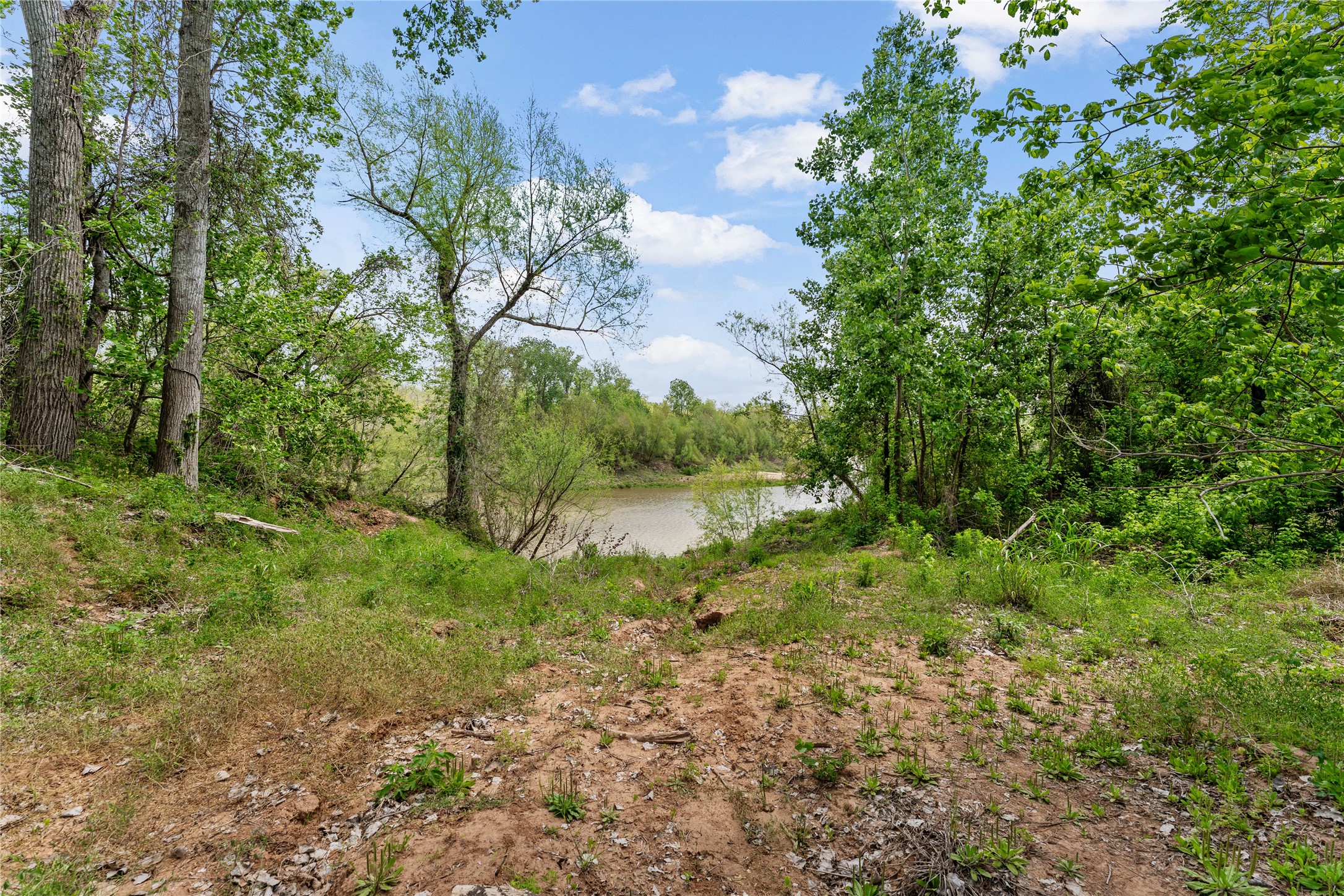 0 King's Oak Drive Damon, TX 77430 - Photo 3 of 29