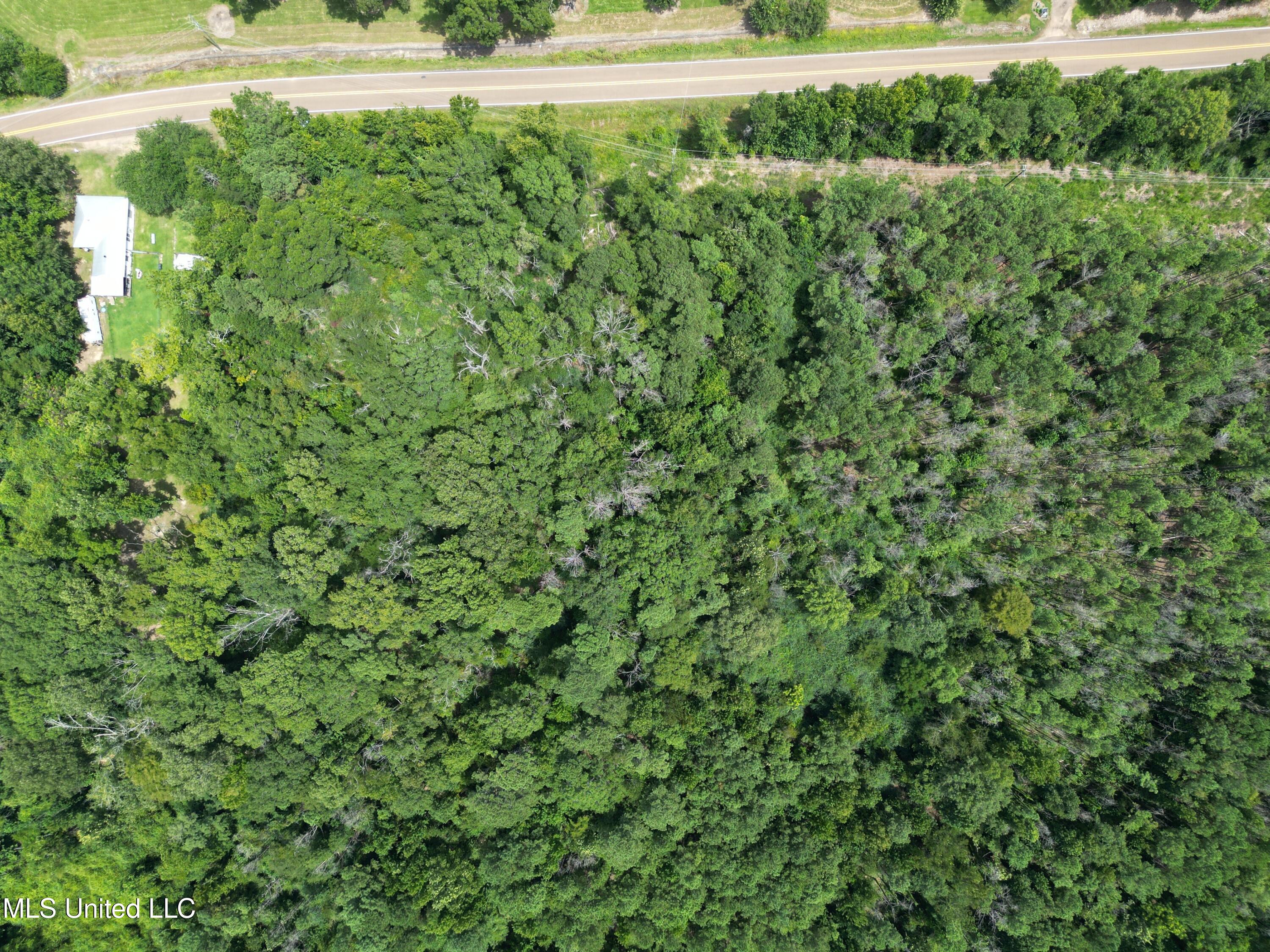 550 550th Union Union Church, MS 39668 - Photo 2 of 8 dji_fly_20250811_152158_255_175556989622