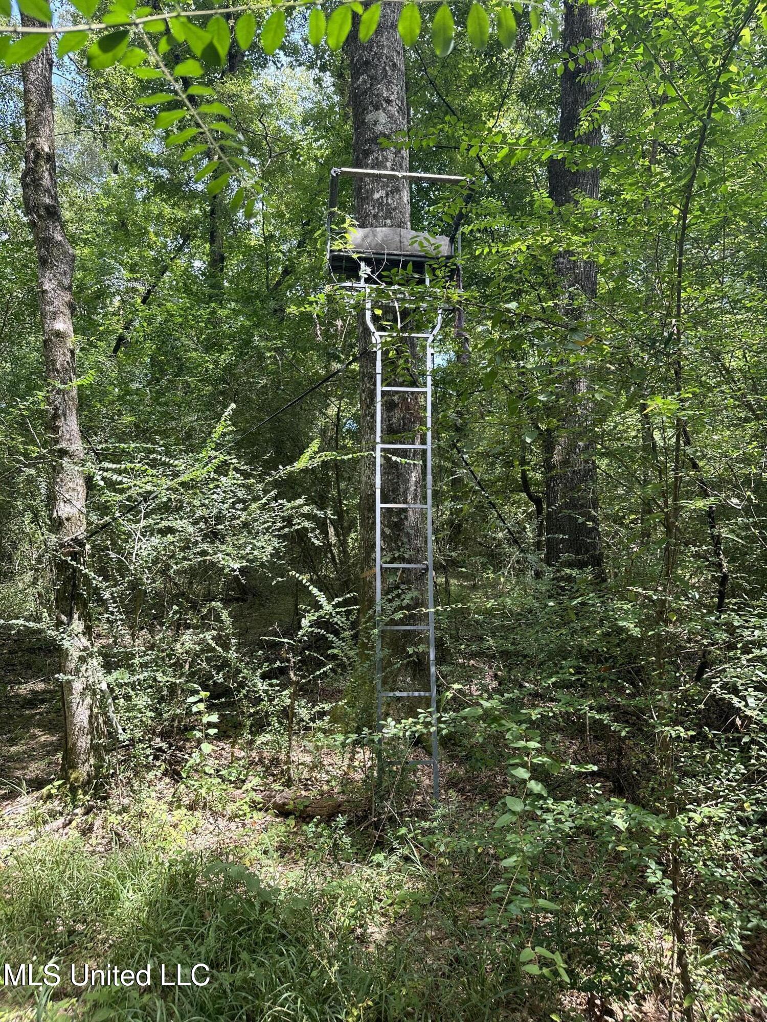 550 550th Union Union Church, MS 39668 - Photo 6 of 8 IMG_1654