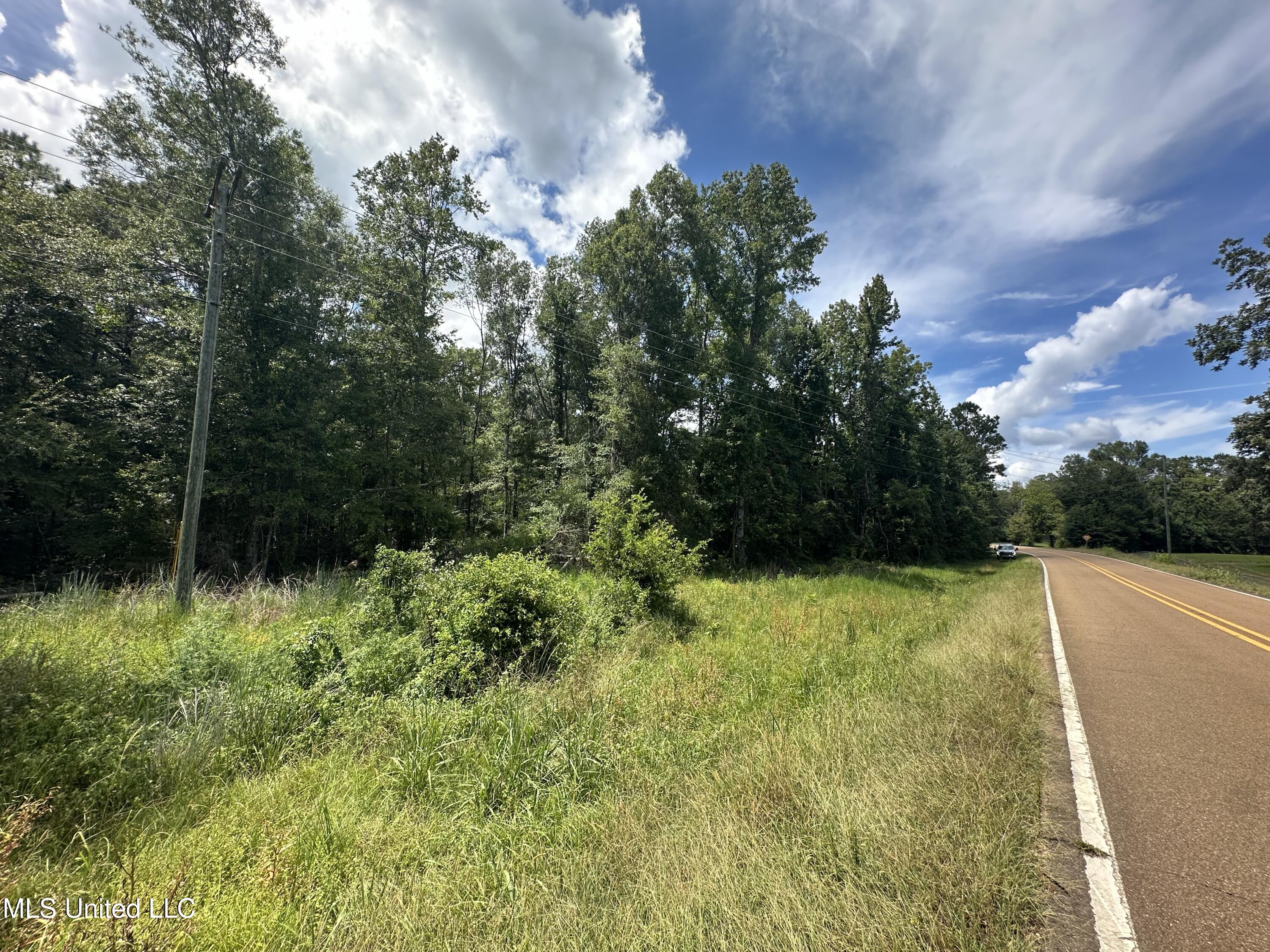550 550th Union Union Church, MS 39668 - Photo 8 of 8 IMG_1658