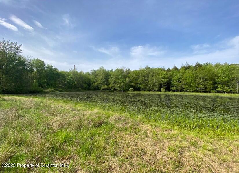 190 Lamberton Road Lake Ariel, PA 18436 - Photo 3 of 32