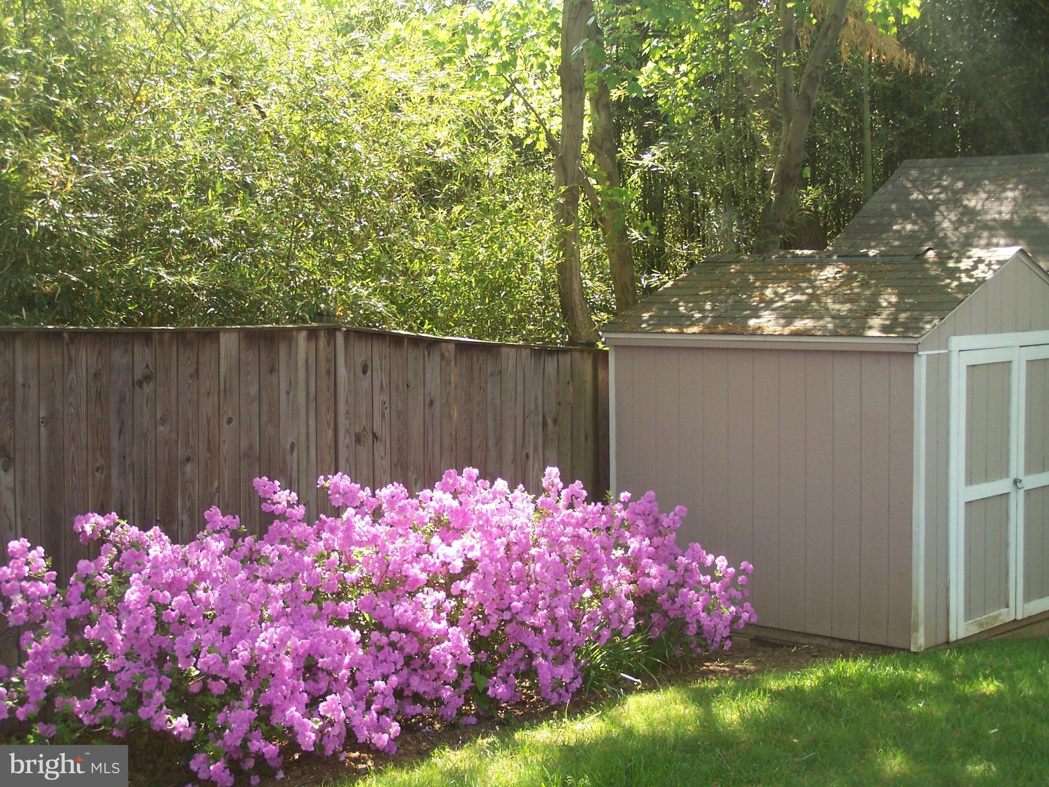 5409 Aylor Road Fairfax, VA 22032 - Photo 2 of 23 Exterior (Rear)