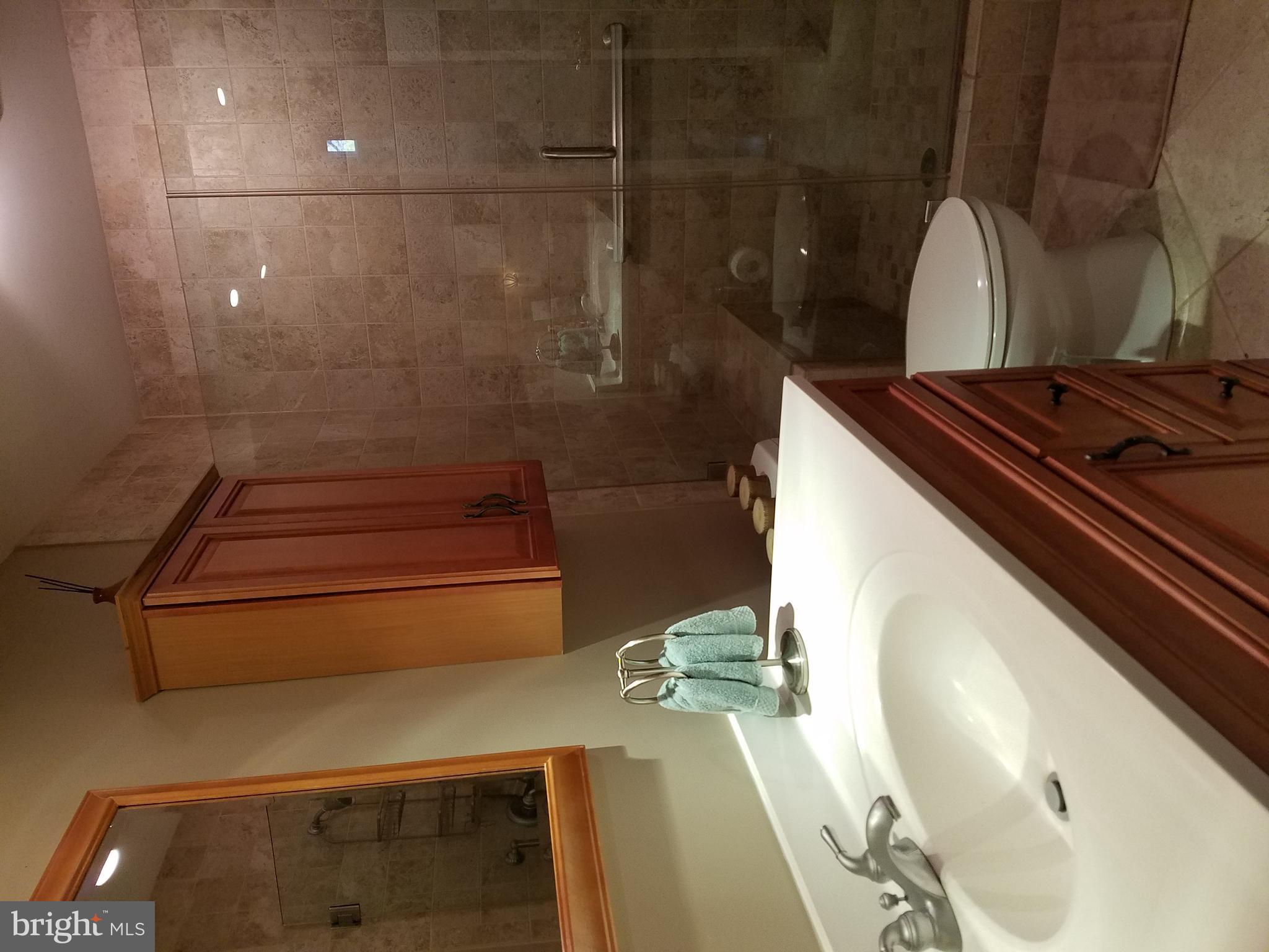 5409 Aylor Road Fairfax, VA 22032 - Photo 15 of 23 Bath