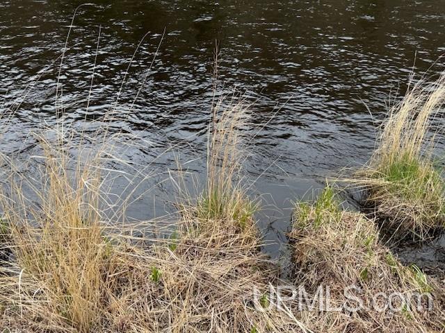 Tbd River Country Road Iron River, MI 49935 - Photo 4 of 10