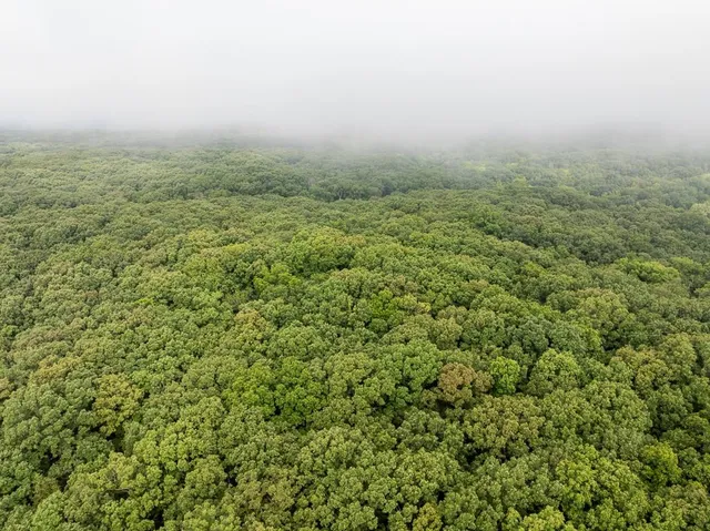 $242,050 | Carr Lane, Harrisburg, MO 65256