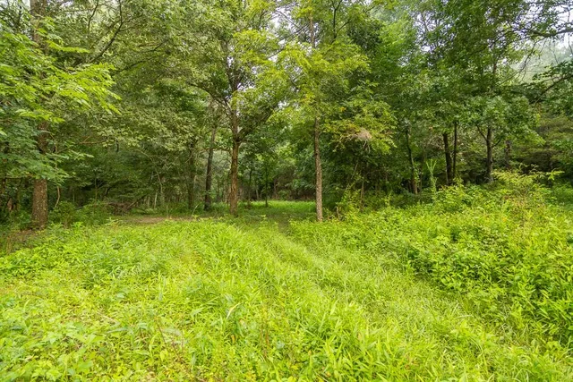 $242,050 | Carr Lane, Harrisburg, MO 65256