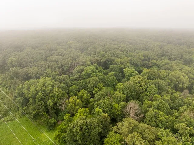 $242,050 | Carr Lane, Harrisburg, MO 65256