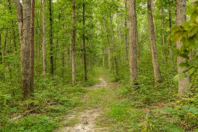 $242,050 | Carr Lane, Harrisburg, MO 65256