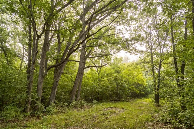 $242,050 | Carr Lane, Harrisburg, MO 65256