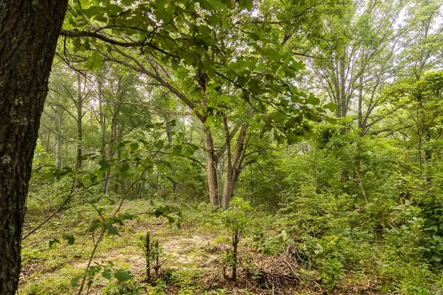 $242,050 | Carr Lane, Harrisburg, MO 65256