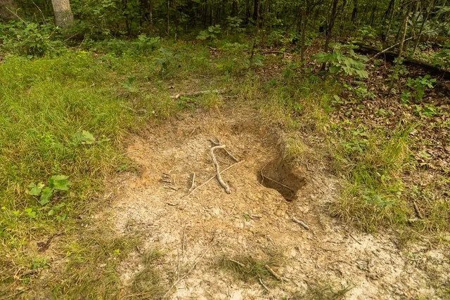 $242,050 | Carr Lane, Harrisburg, MO 65256