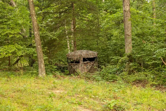 $242,050 | Carr Lane, Harrisburg, MO 65256