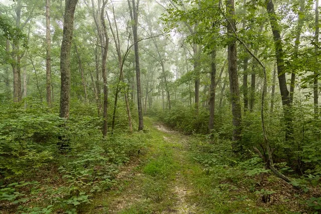 $242,050 | Carr Lane, Harrisburg, MO 65256