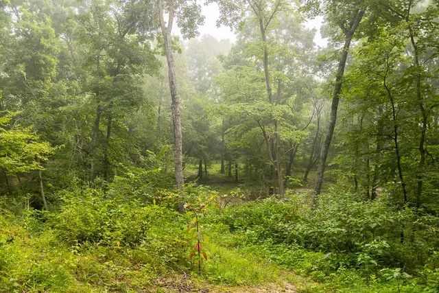 $242,050 | Carr Lane, Harrisburg, MO 65256