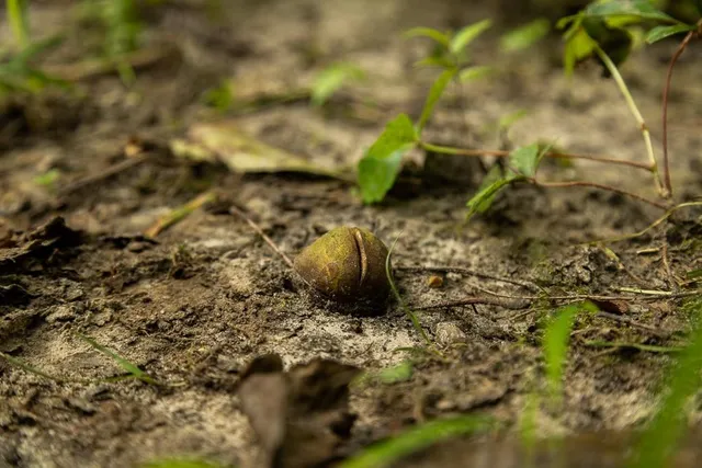 $242,050 | Carr Lane, Harrisburg, MO 65256