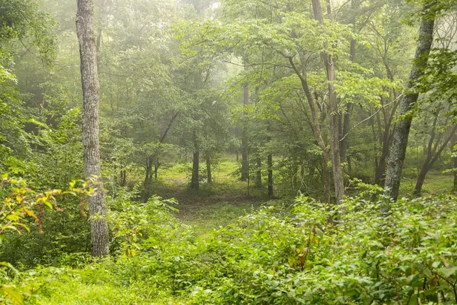 $242,050 | Carr Lane, Harrisburg, MO 65256