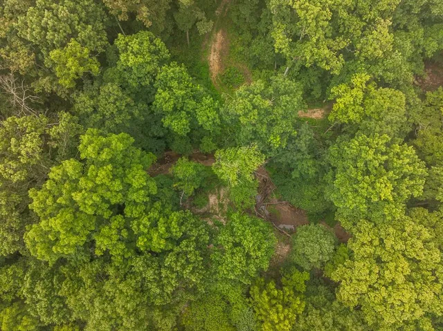 $242,050 | Carr Lane, Harrisburg, MO 65256