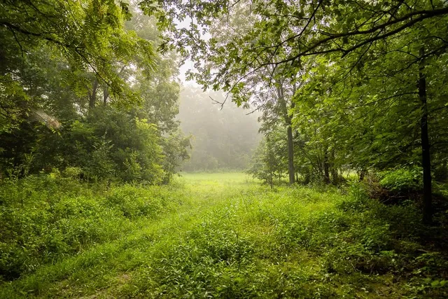 $242,050 | Carr Lane, Harrisburg, MO 65256