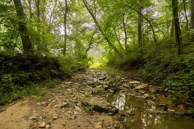 $242,050 | Carr Lane, Harrisburg, MO 65256