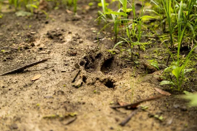 $242,050 | Carr Lane, Harrisburg, MO 65256