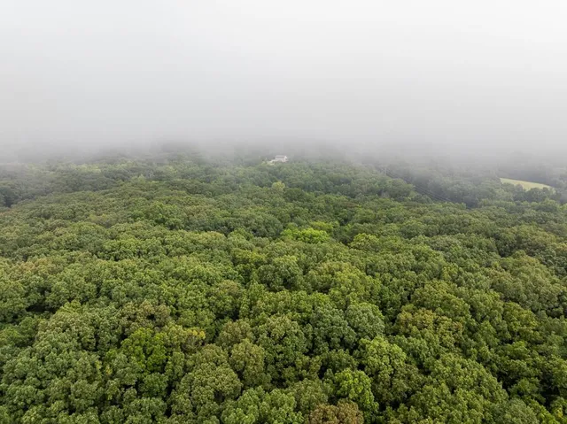 $242,050 | Carr Lane, Harrisburg, MO 65256