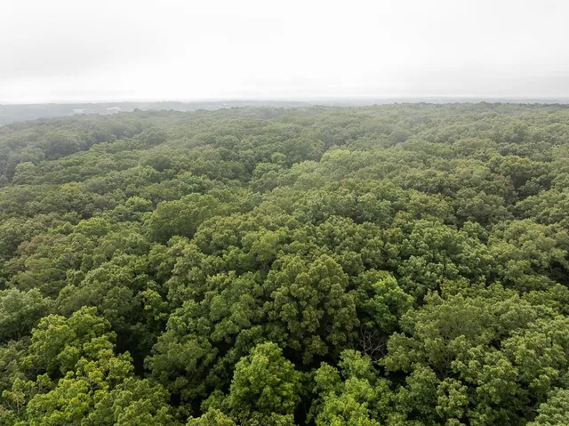 $242,050 | Carr Lane, Harrisburg, MO 65256