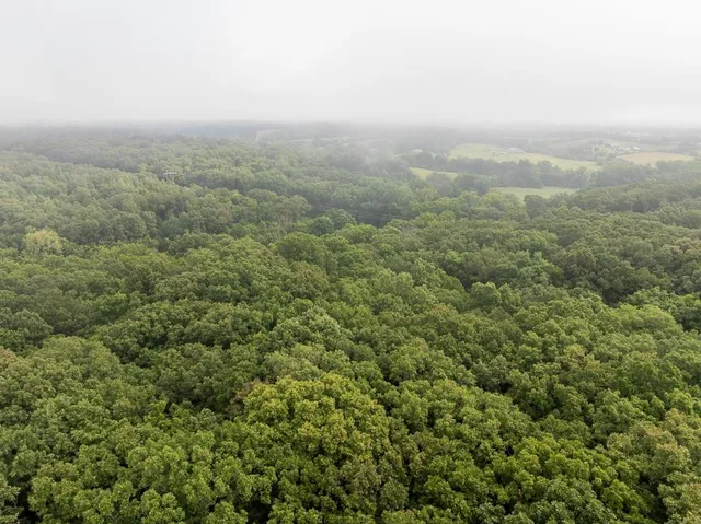 $242,050 | Carr Lane, Harrisburg, MO 65256