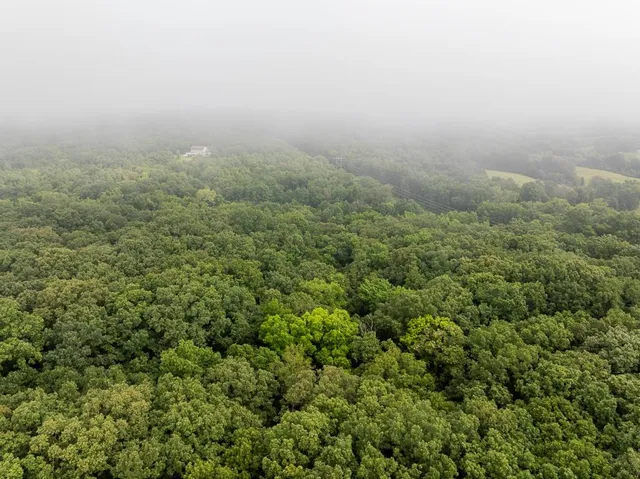 $242,050 | Carr Lane, Harrisburg, MO 65256