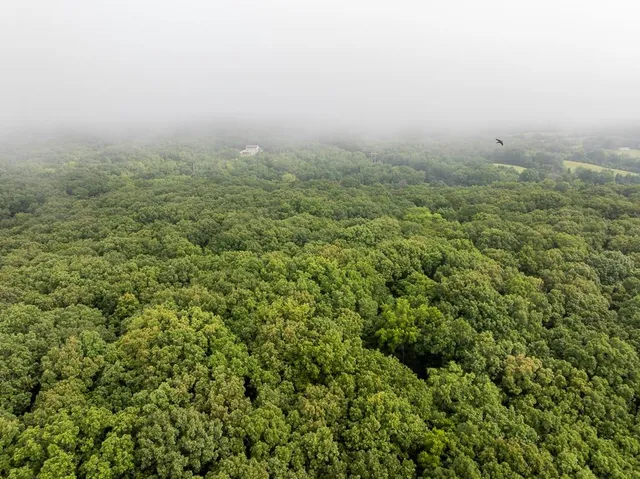 $242,050 | Carr Lane, Harrisburg, MO 65256