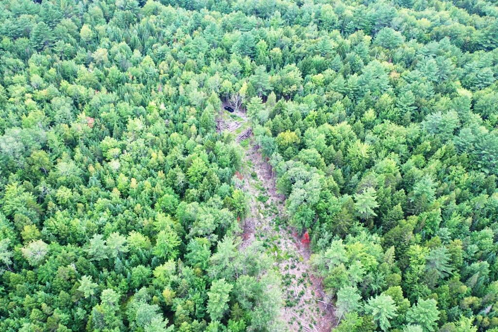 Tbd Caribou Road Passadumkeag, ME 04475 - Photo 6 of 14 DJI_0761