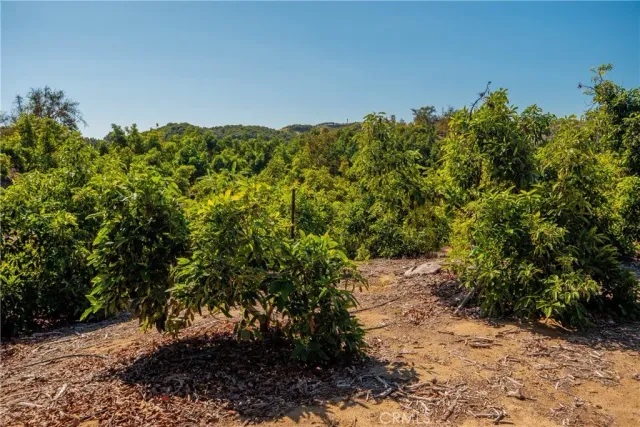 $299,900 | 15 Camaron Road, Temecula, CA 92590