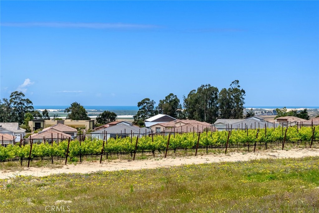 1662 Eucalyptus Road Nipomo, CA 93444 - Photo 22 of 75