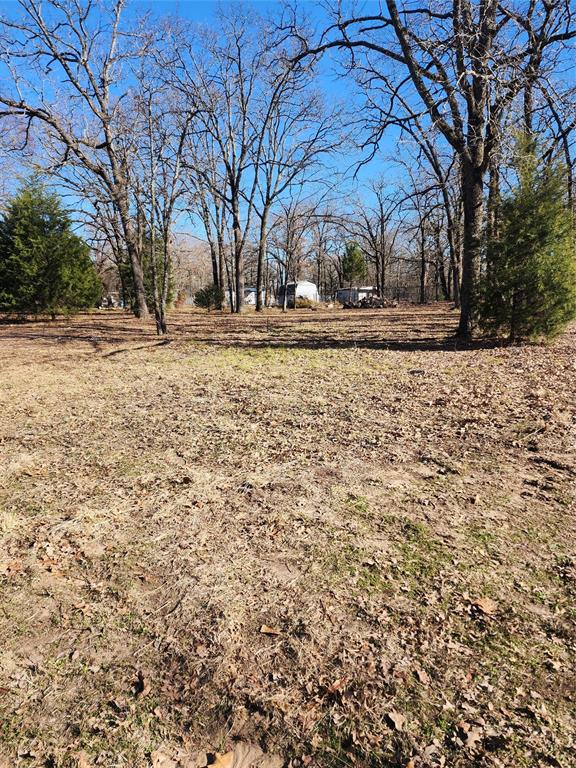 Tbd Lost Forest Road Gun Barrel City, TX 75156 - Photo 1 of 1 a view of house with snow on the road