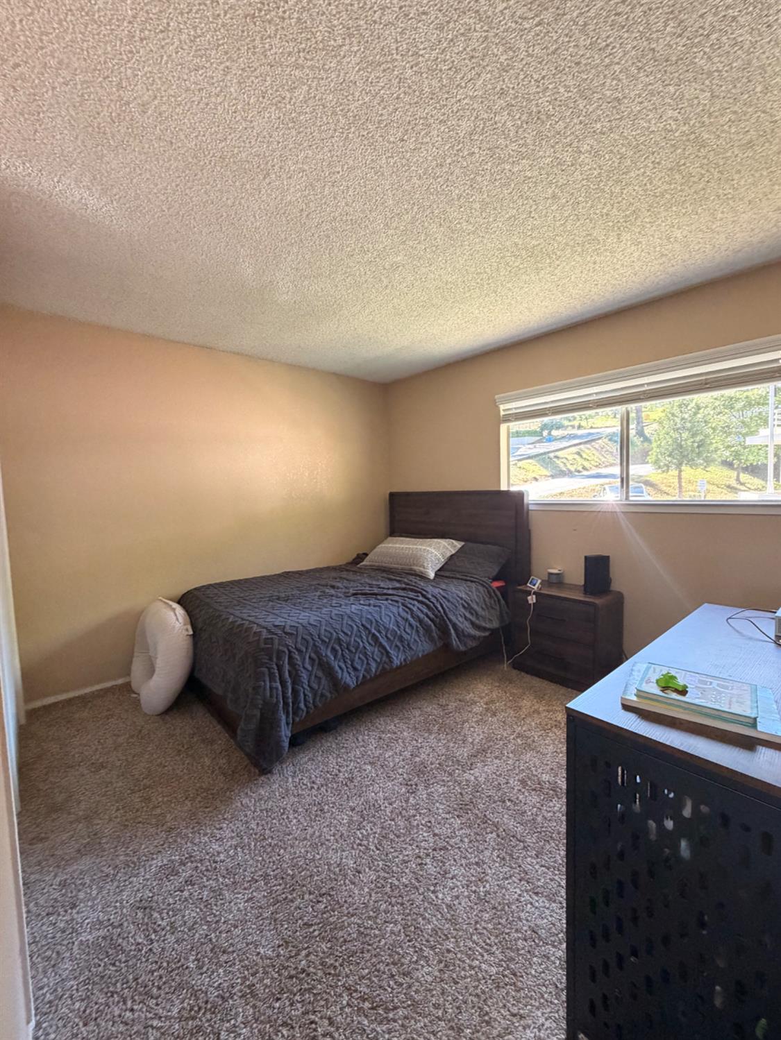 1 Sunset Avenue Colfax, CA 95713 - Photo 20 of 53