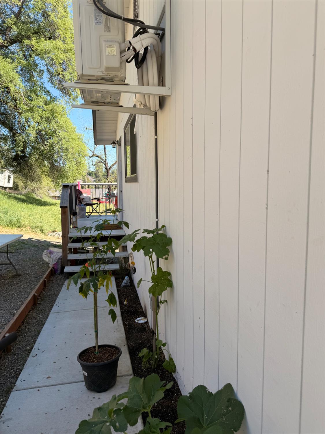 1 Sunset Avenue Colfax, CA 95713 - Photo 7 of 53