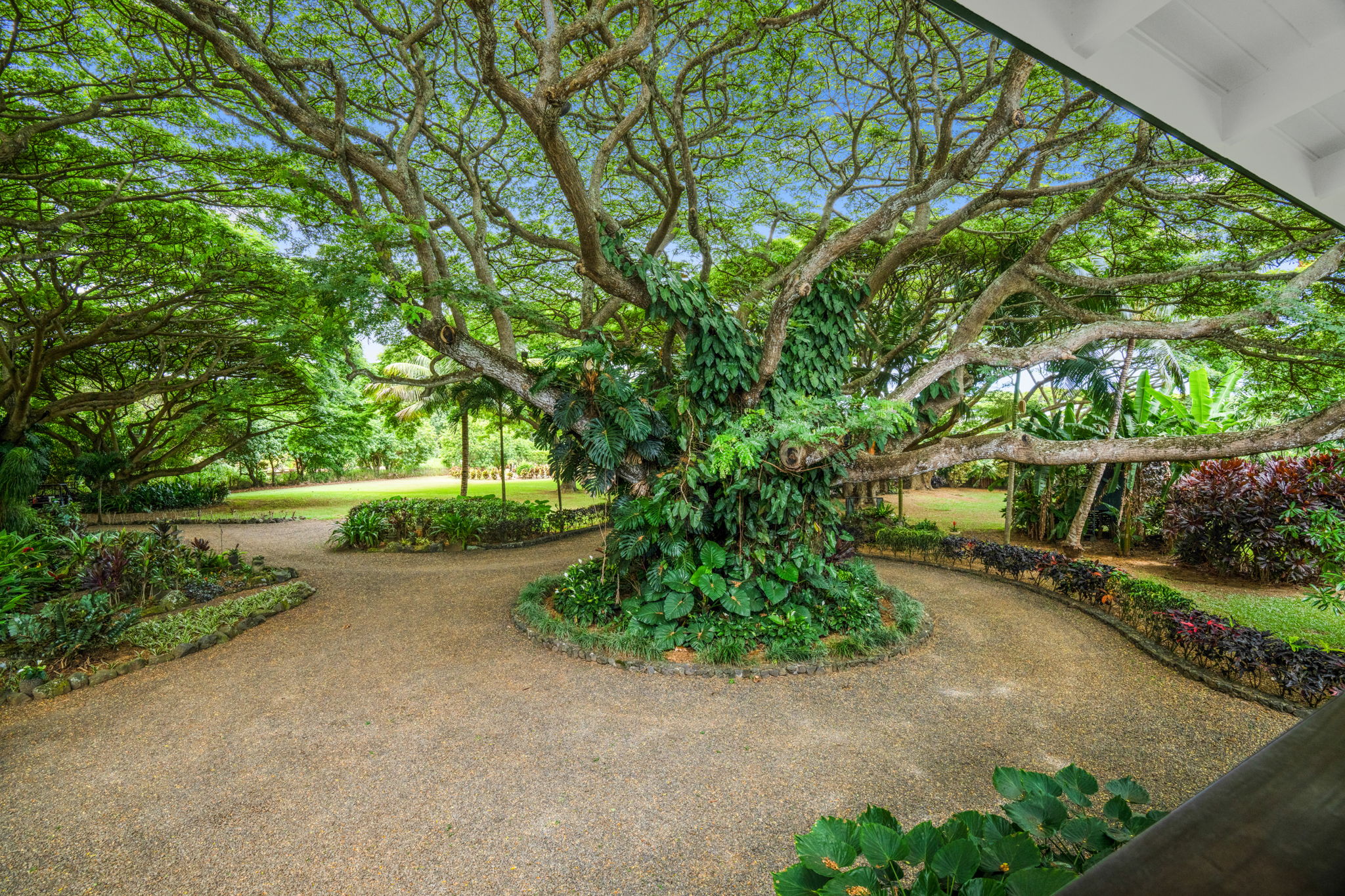 5311 A Hauaala Road Kapaa, HI 96746 - Photo 21 of 30 a view of a street with a tree